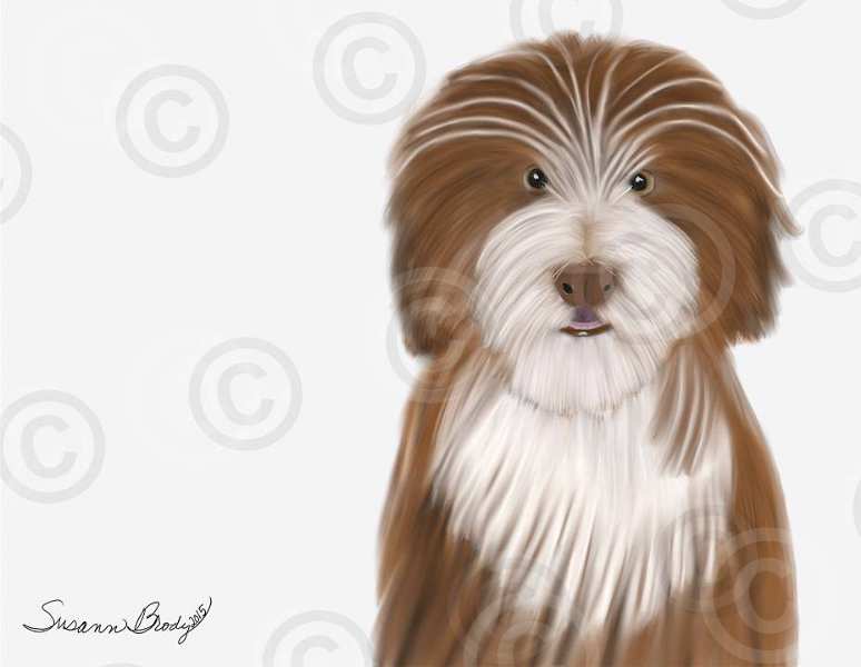 No. 13-1 brown whimsical Beardie
