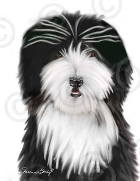 No. 13-2 black whimsical Beardie