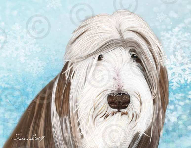 No. 2 Christmas card-Brown Beardie-snowflake background
