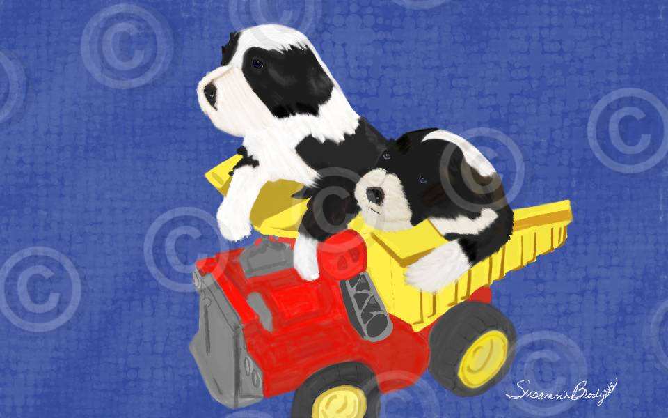No. 20 puppies in truck-blue bkgrnd