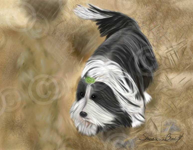 No. 39 Barnhunt Beardie