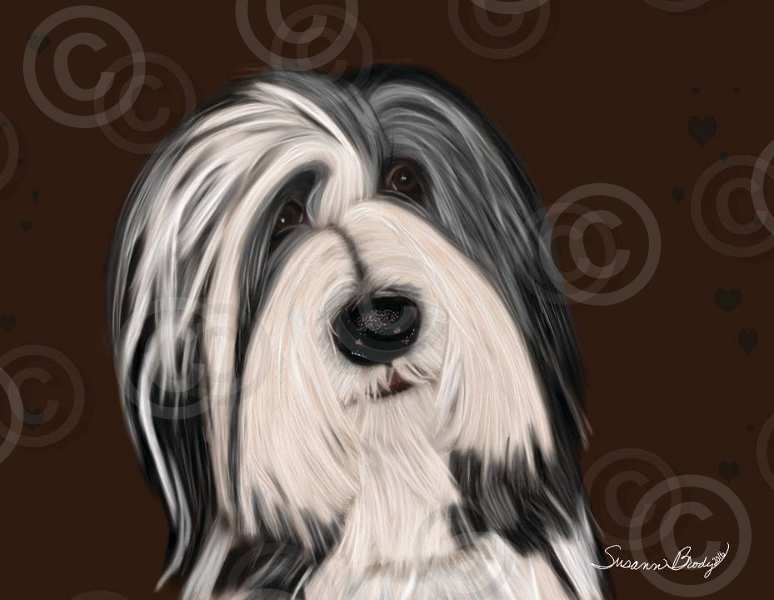 No. 40 black Beardie head