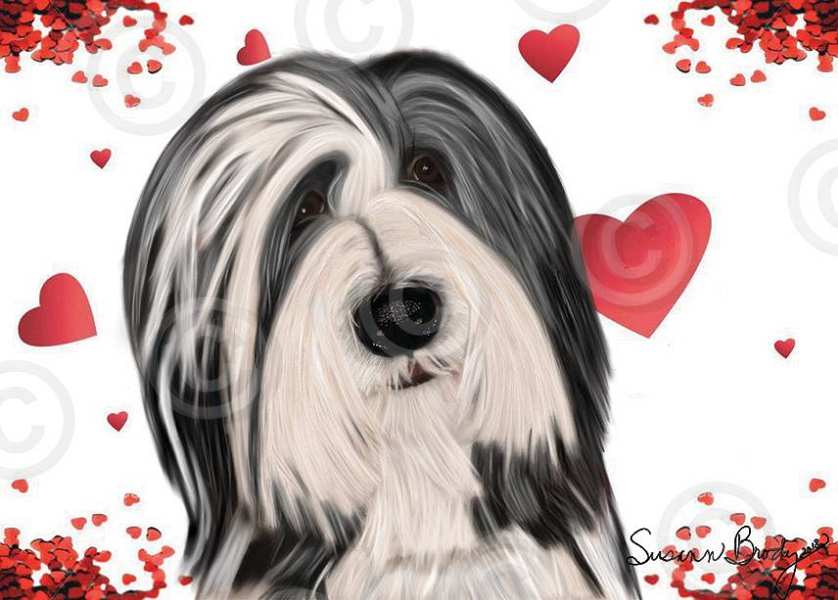 No. 40-3 black Beardie-hearts