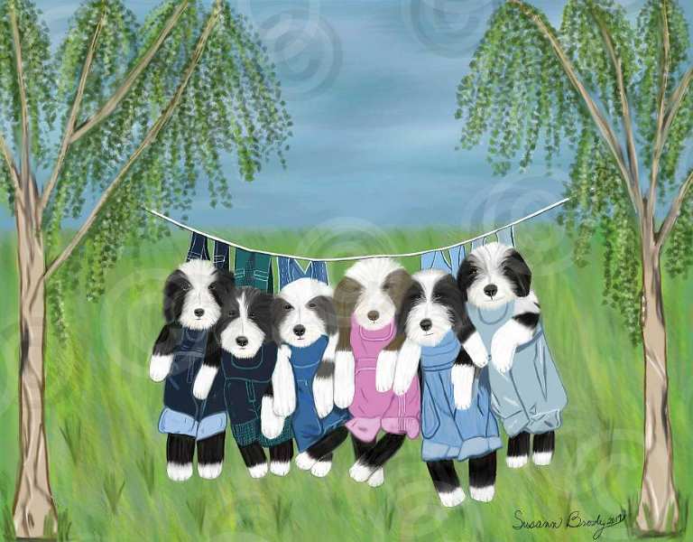 No. 50 Beardie-Pups-overalls