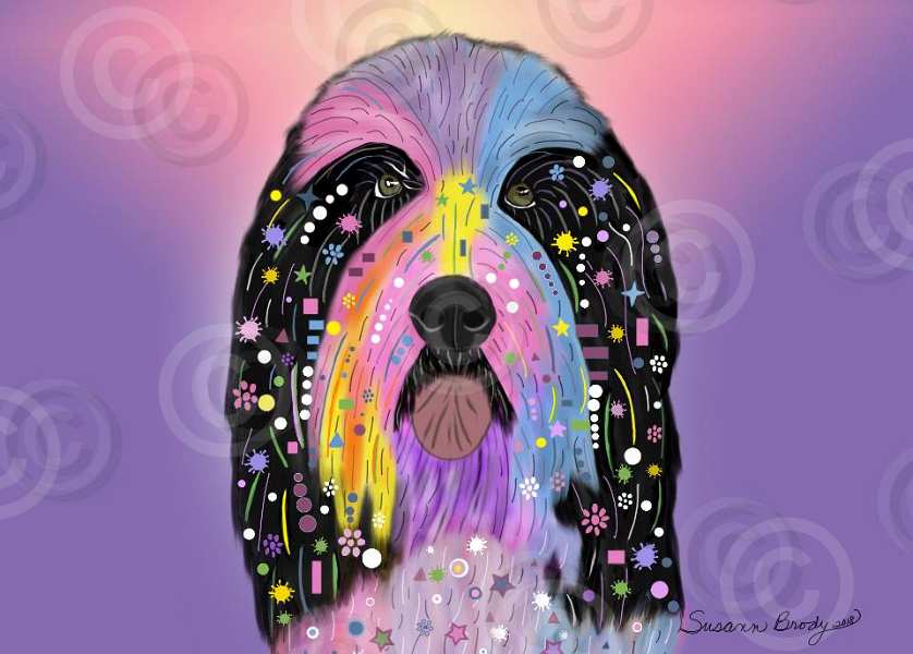No. 53 black beardie hippie-tongue