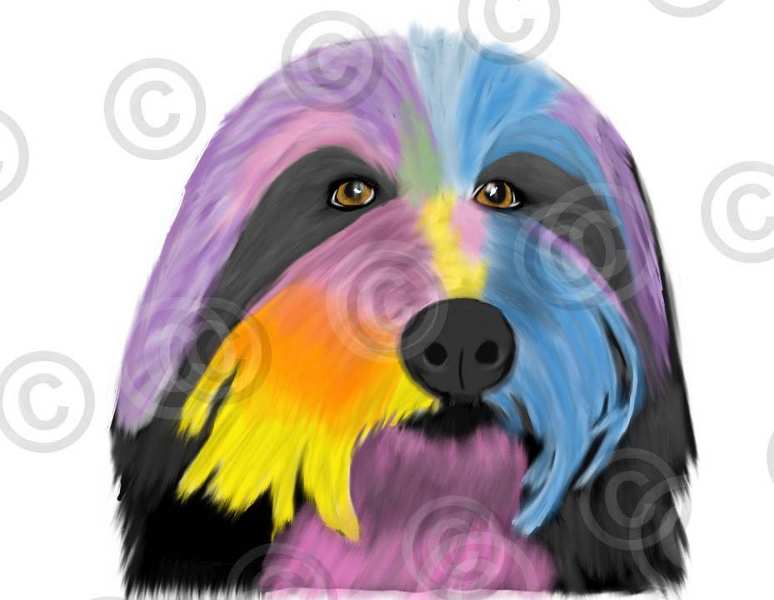 No. 58 beardie head colorful