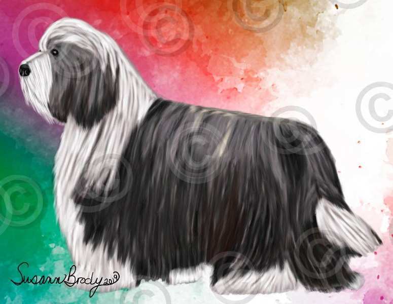 No. 60 hunter-green-pink-purple watercolor