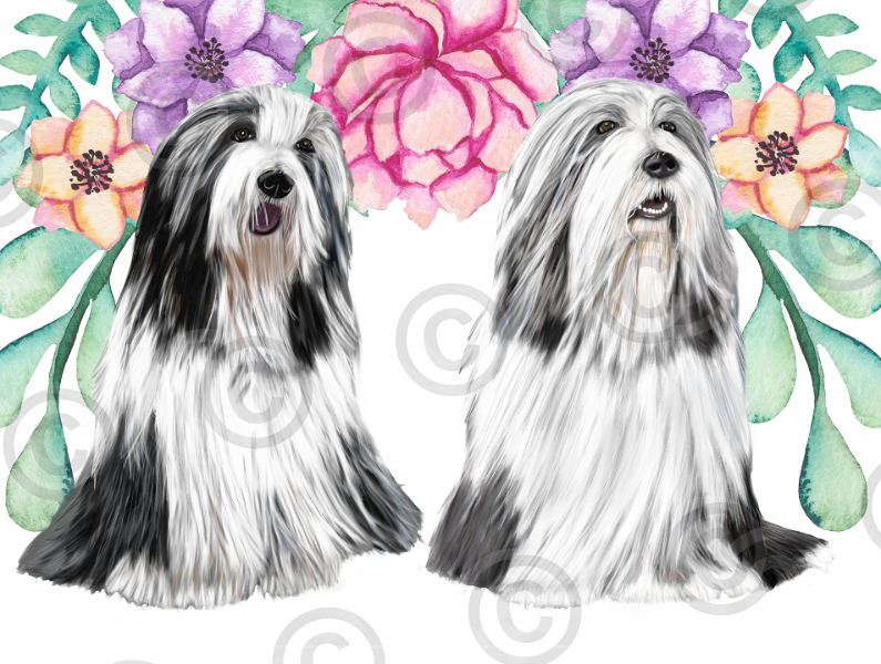 No. 61 Ligi-Dwight background-peonies-pink-lavender-ellow-orange