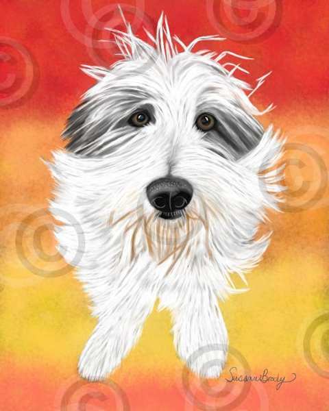 No. 62 Rosie-Red-Yellow-Orange background