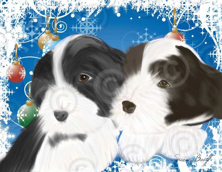 No. 9 christmas card-black and brown puppy-blue background