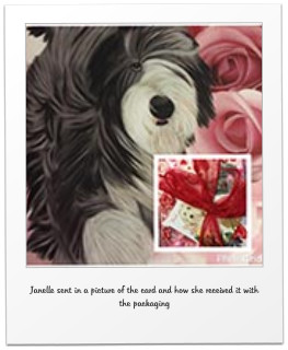 Janelle sent in a picture of the card and how she received it with the packaging