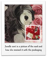 Janelle sent in a picture of the card and how she received it with the packaging