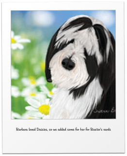 Barbara loved Daisies, so we added some for her for Baxter’s cards