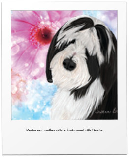 Baxter and another artistic background with Daisies