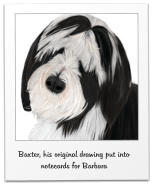 Baxter, his original drawing put into notecards for Barbara
