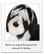 Baxter, his original drawing put into notecards for Barbara