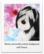 Baxter and another artistic background with Daisies