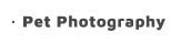 Pet Photography