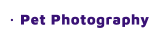 Pet Photography
