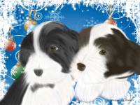 No. 9 christmas card-black and brown puppy-blue background  black and brown Beardie pups on a Christmas theme!  Available for purchase as card or other items.  I can draw your DOG for you too!