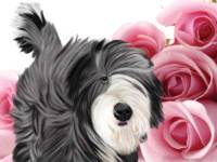 No. 43-11 Roses  Available for purchase as card or other items.  I can draw your DOG for you too!  Same card as the previous one, but done for those of you that like the cards in the vertical direction!