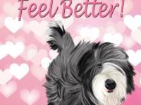 No. 43-19 Feel Better  Available for purchase as card or other items.  I can draw your DOG for you too!  Get Well card.  Words can be changed or removed, if you would like!