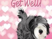 No. 43-20 Get Well  Available for purchase as card or other items.  I can draw your DOG for you too!  Get Well card.  Words can be changed or removed, if you would like!