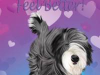 No. 43-21 Feel Better  Available for purchase as card or other items.  I can draw your DOG for you too!  Get Well card.  Words can be changed or removed, if you would like!