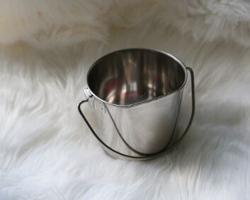 IMG_7587-1qt water pail-1 side flat $30-50 1 quart Dog pail with 1 flat side