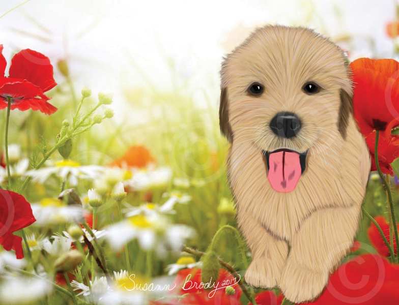 No. 12 Golden Retriever puppy-red flower bkgrnd