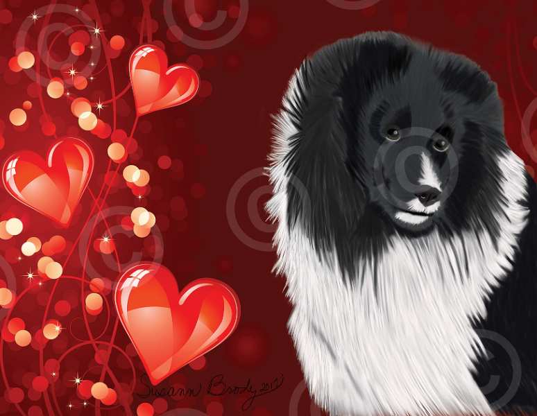 No. 17 Shetland Sheepdog-red hearts bkgrnd