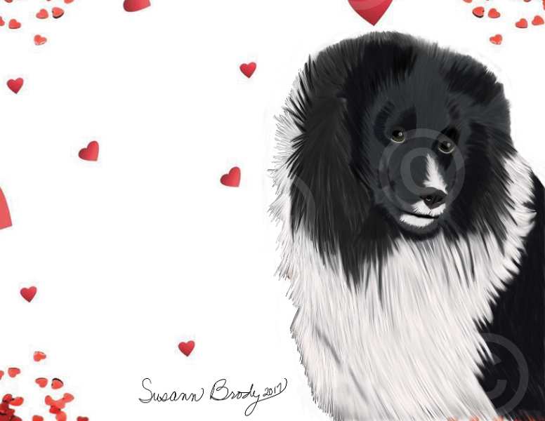 No. 17 Shetland Sheepdog-red hearts white bkgrnd