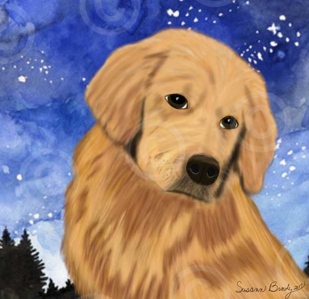 No. 19 golden retriever-head and chest-blue night sky bkgrnd