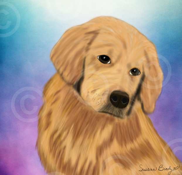 No. 19 golden retriever-head and chest-pink-blue bkgrnd