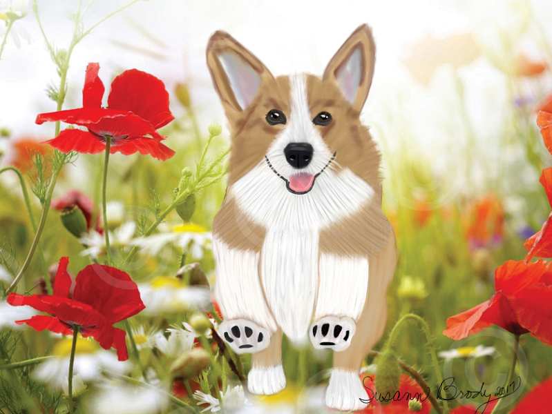 No. 2 Corgi red flowers bkgrnd