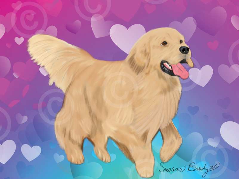 No. 7 Golden retriever coming at you-hearts-blue-pink aqua bkgrnd