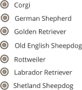 Golden Retriever Shetland Sheepdog Labrador Retriever Old English Sheepdog German Shepherd Corgi Rottweiler