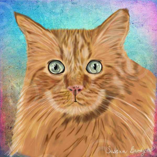 oliver-cat-aqua-pink bkgrnd